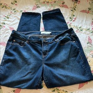 Torrid Dark Blue Women Jeans
